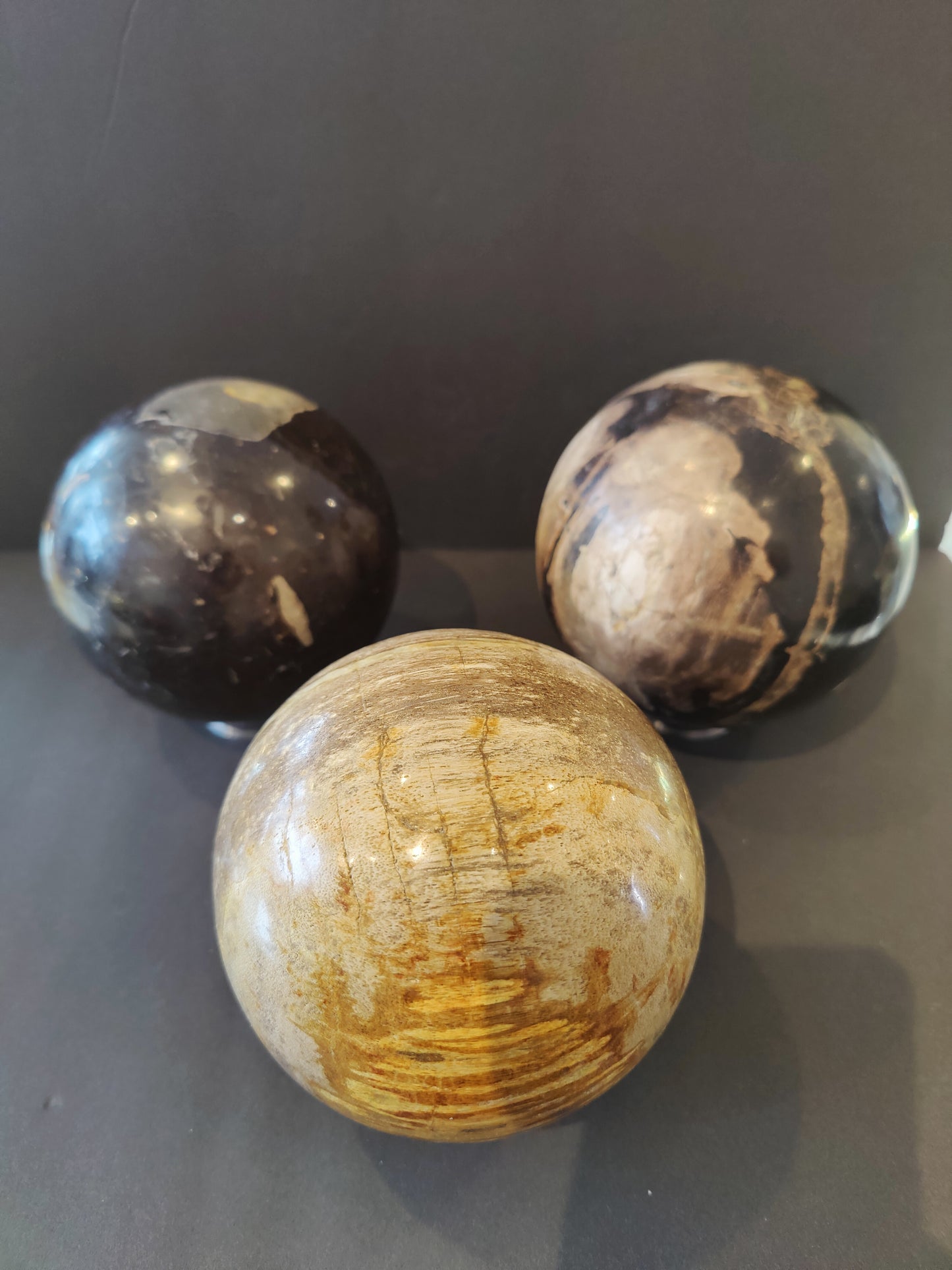 Petrified Wood Sphere