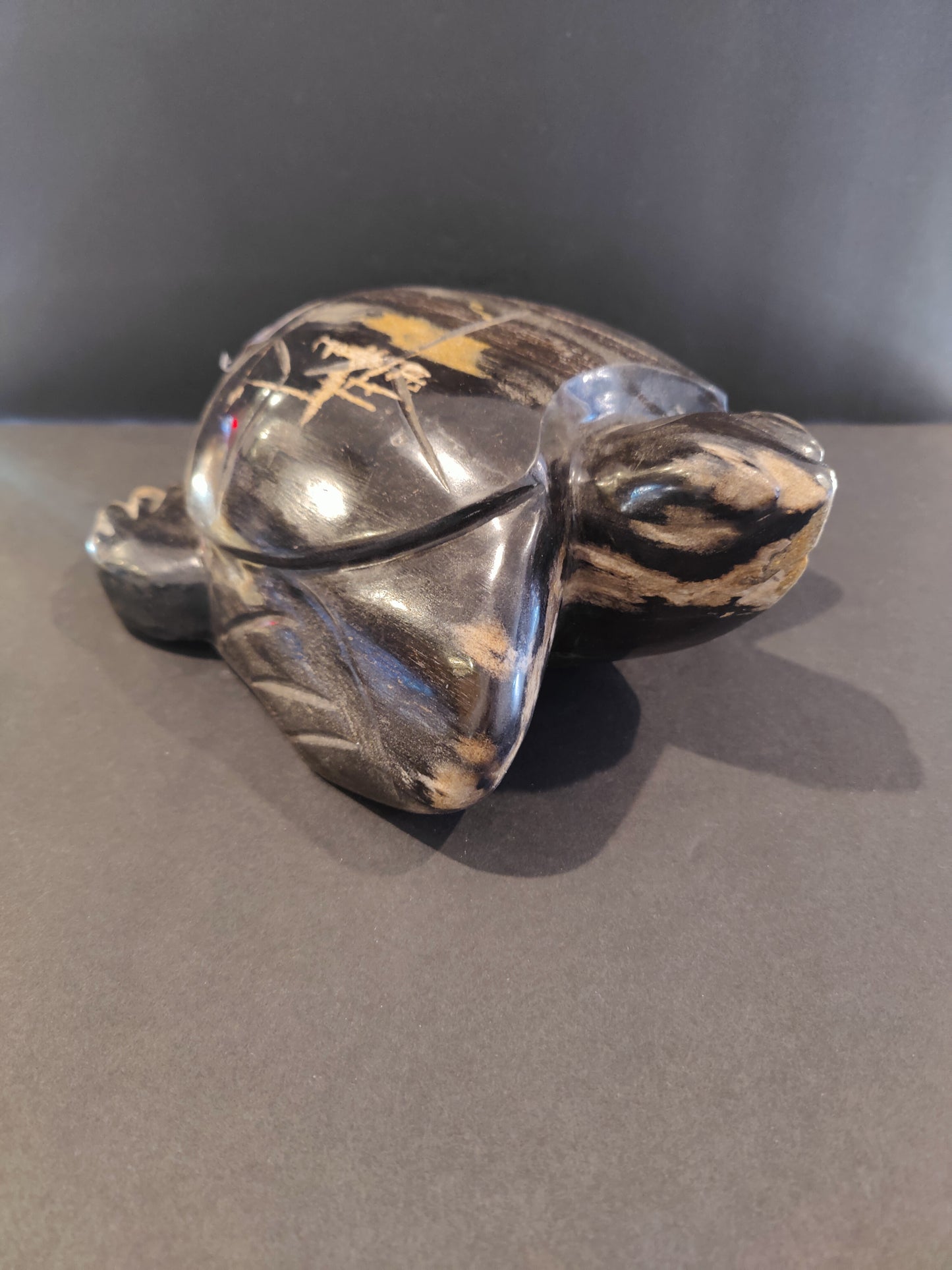 Petrified Wood Turtle Sculpture