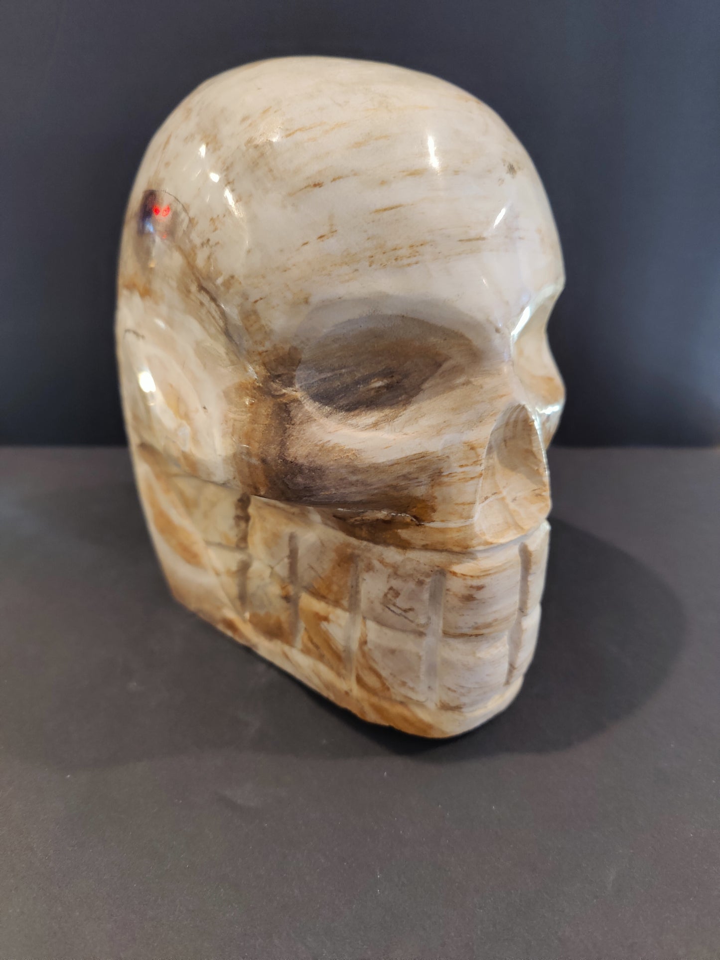 Petrified Wood Skull Sculpture