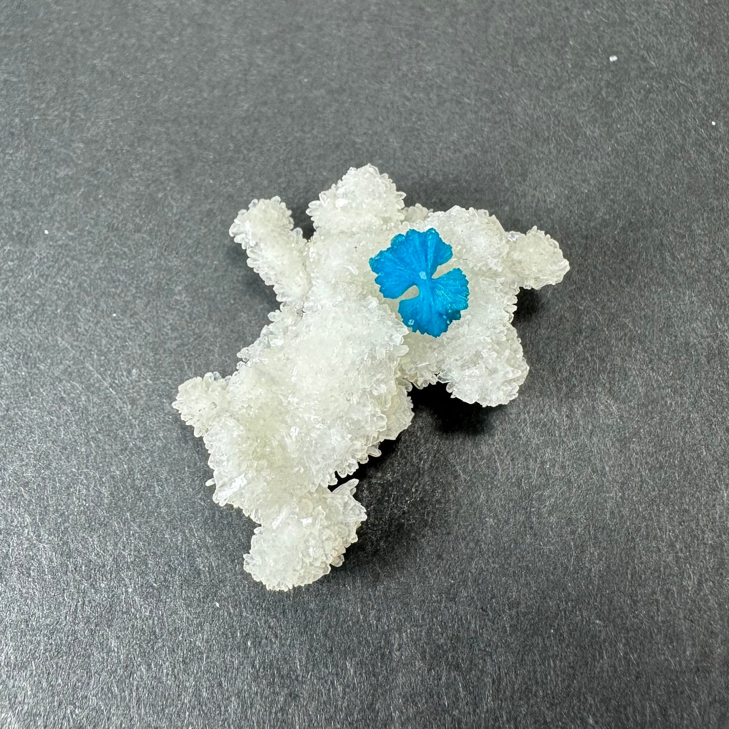 Cavansite Ball 'Floaters' on Stilbite SM from Maharashtra, Pune, India