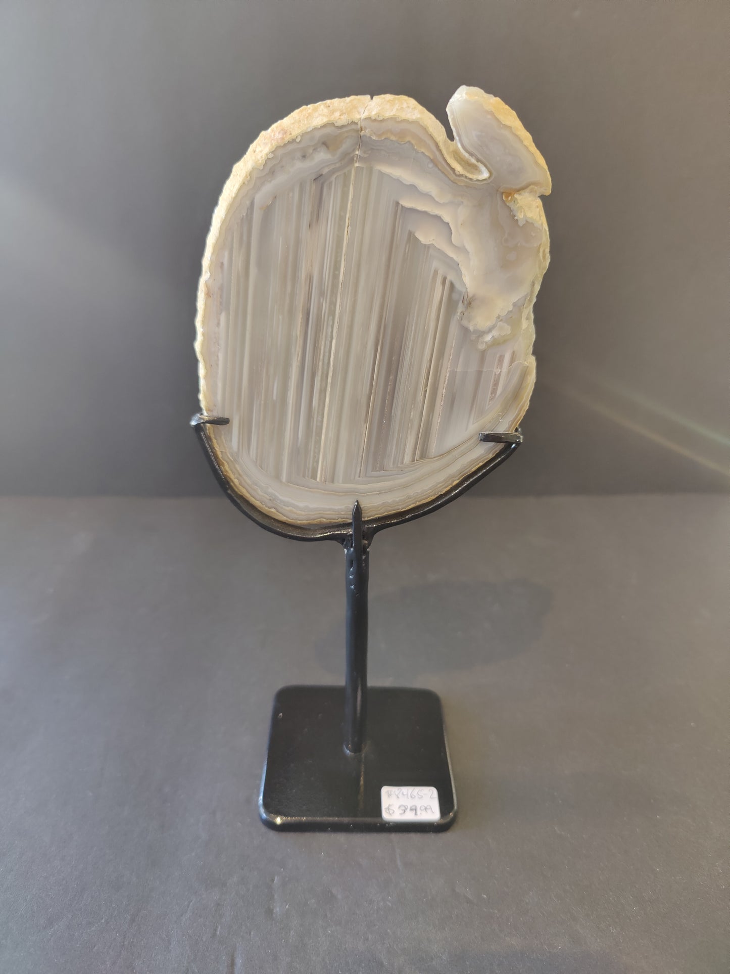 Agate Slice on Metal Display Stand