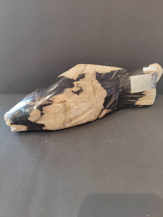 Petrified Wood Fish Sculpture