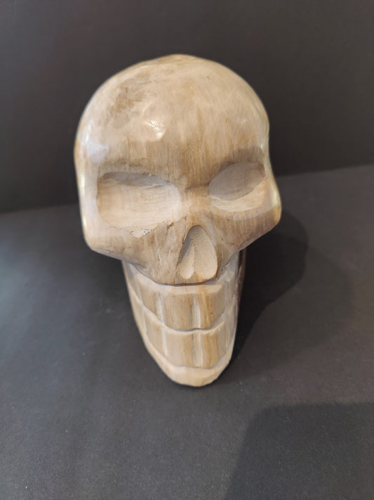 Petrified Wood Skull Sculpture