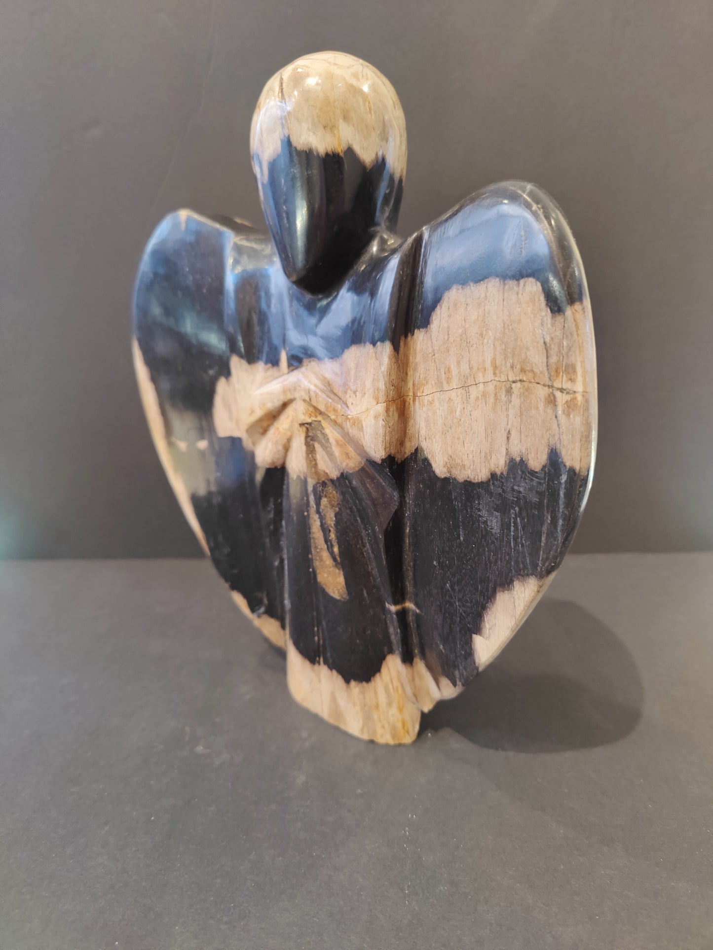 Petrified Wood Angel