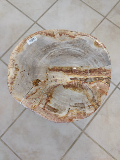 Petrified Wood Pedestal