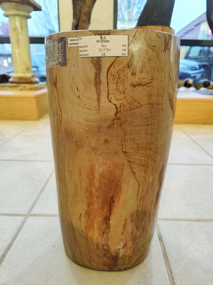 Petrified Wood Pedestal