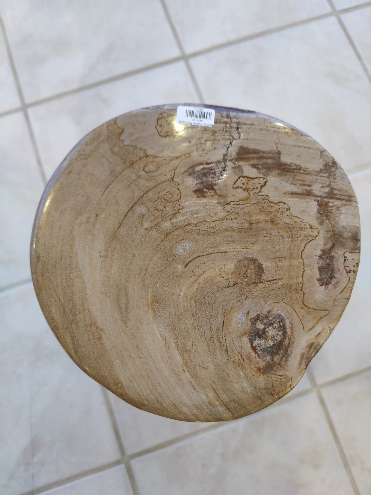 Petrified Wood Pedestal