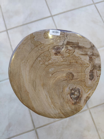 Petrified Wood Pedestal