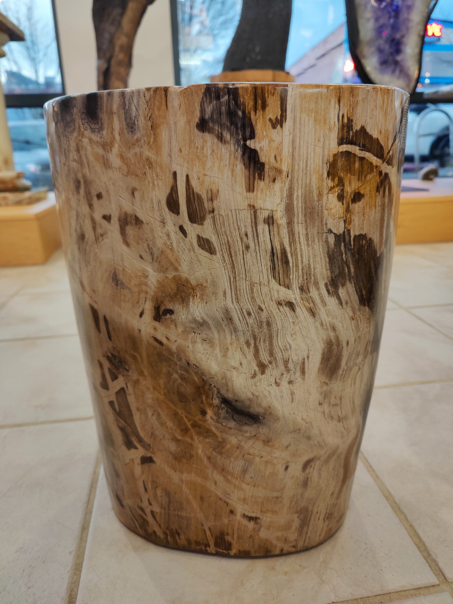 Petrified Wood Pedestal