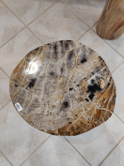 Petrified Wood Pedestal