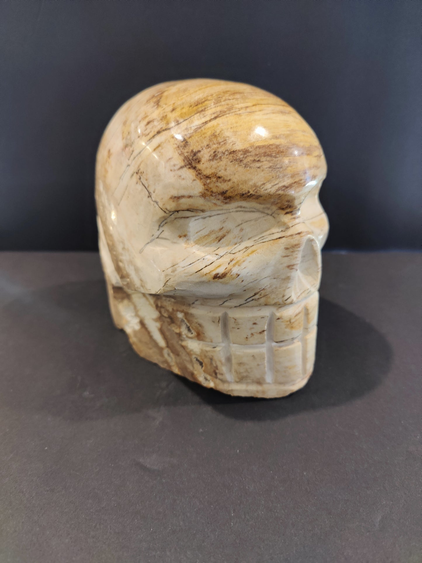 Petrified Wood Skull Sculpture