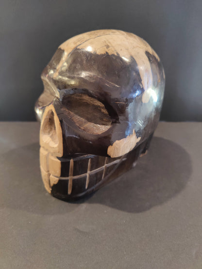 Petrified Wood Skull Sculpture