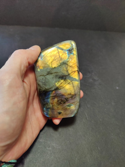 Polished Labradorite Free Form Sculpture