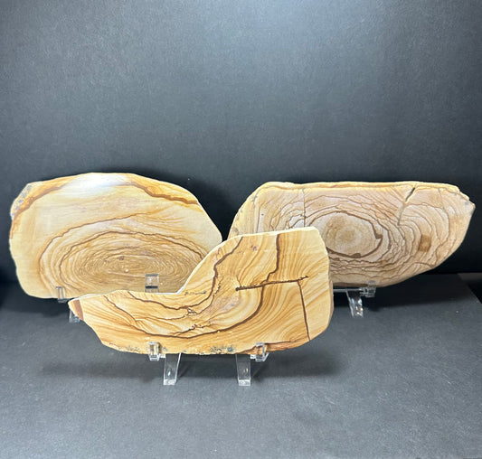 Picture Jasper Plate (L) from Morocco