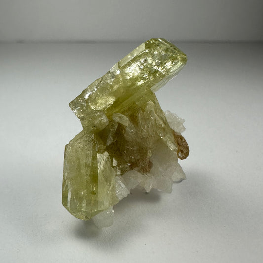 Brazilianite on Albite