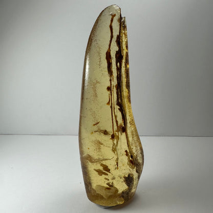 Amber with insects from Colombia