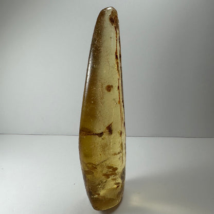 Amber with insects from Colombia