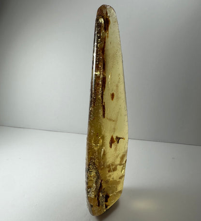 Amber with insects from Colombia