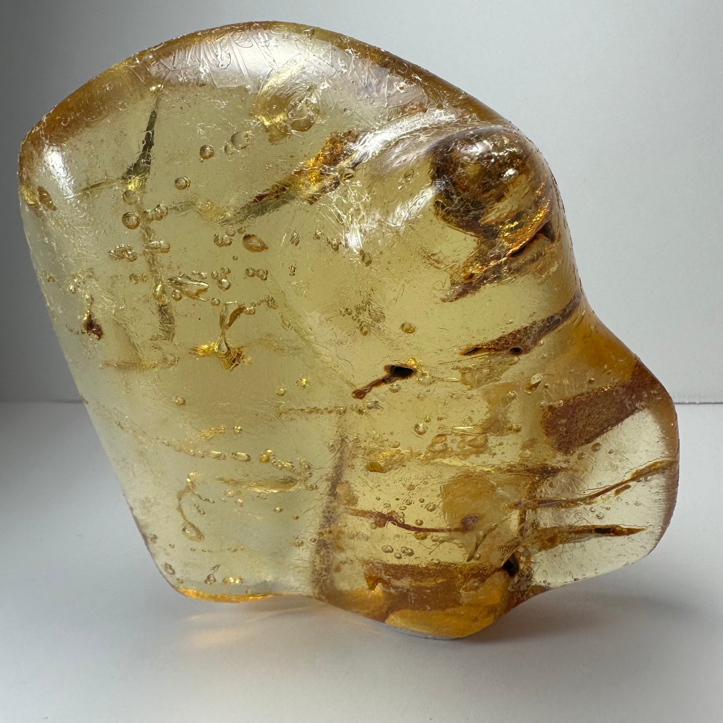 Amber with Insects