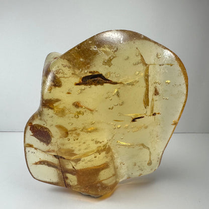 Amber with Insects