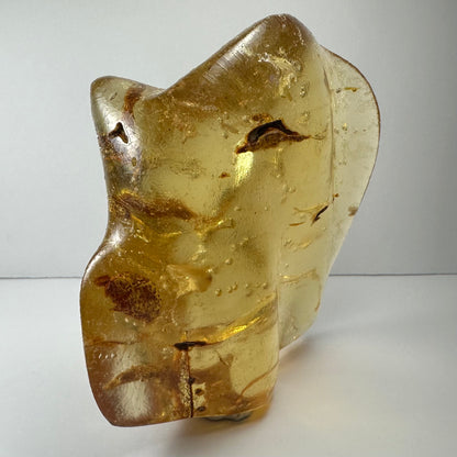Amber with Insects