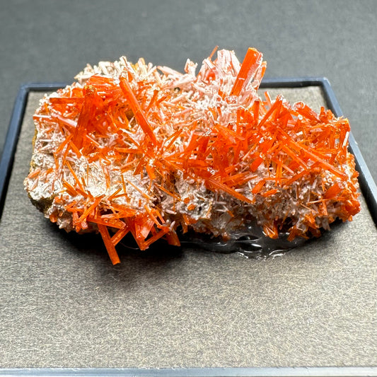 Crocoite on Matrix Adelaide Mine, Dundas, Tasmania, Australia
