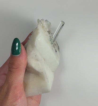 Aquamarine Beryl on Albite