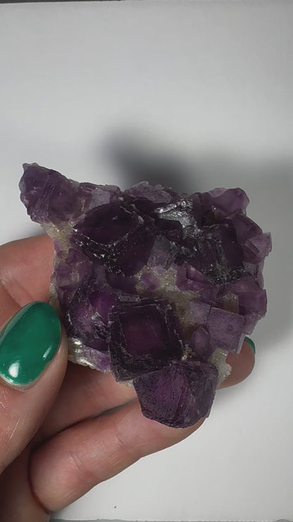 Purple Cubic Fluorite on matrix