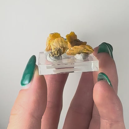 Micro Wulfenite Crystal Clusters