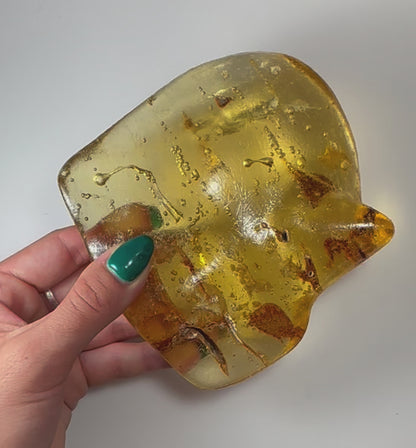 Amber with Insects