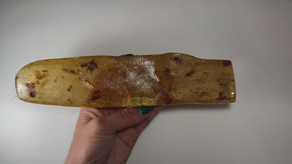 Amber with Bee Colony from Colombia