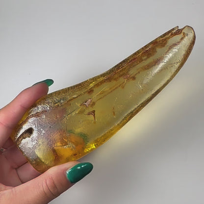 Amber with insects from Colombia