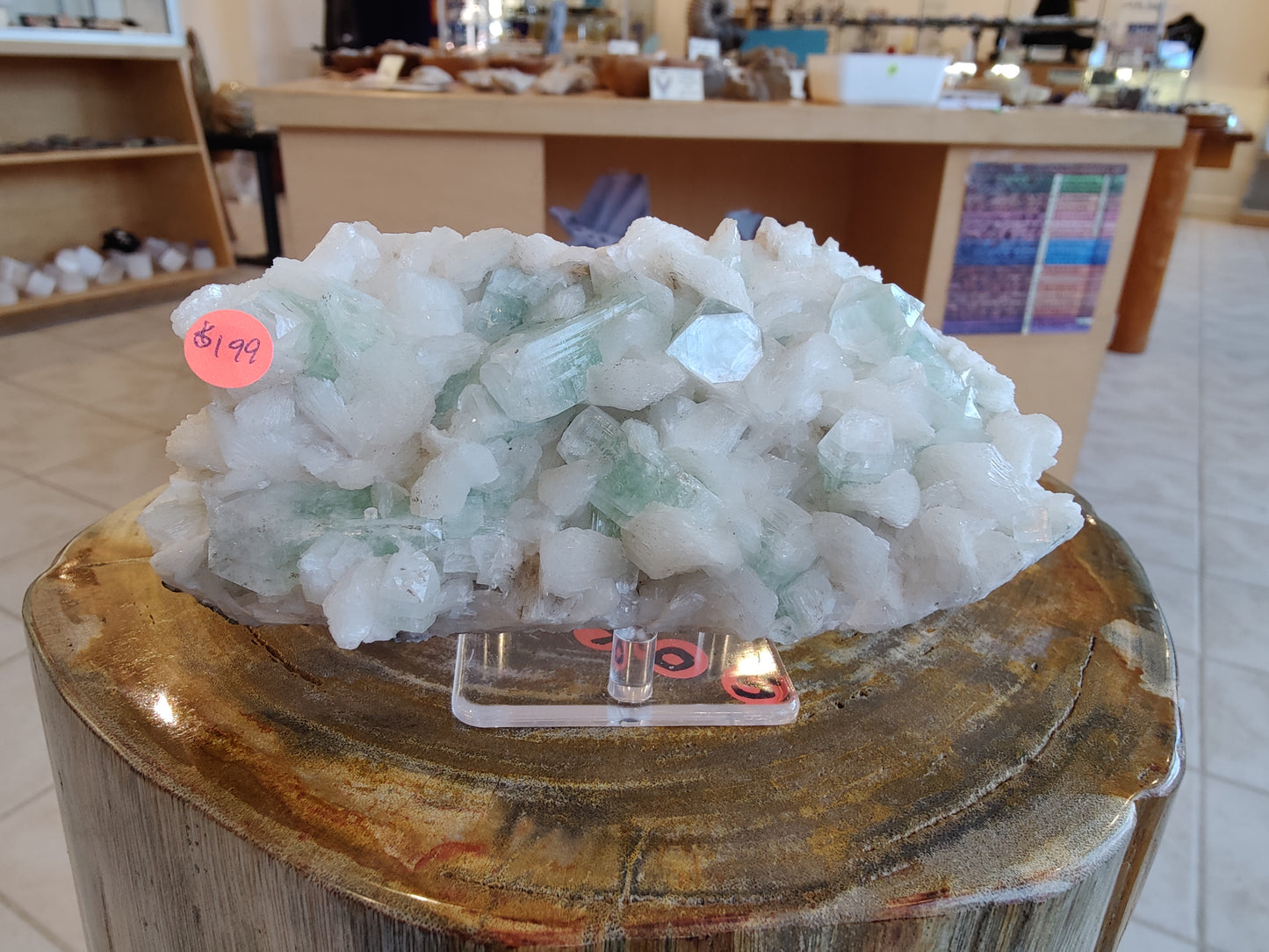 1.34 LB Light Green Apophyllite